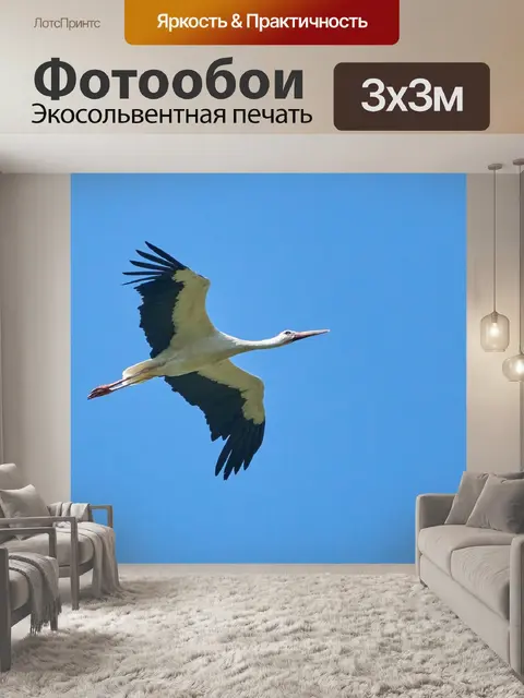 Фотообои Аист