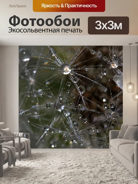 Фотообои Одуванчик
