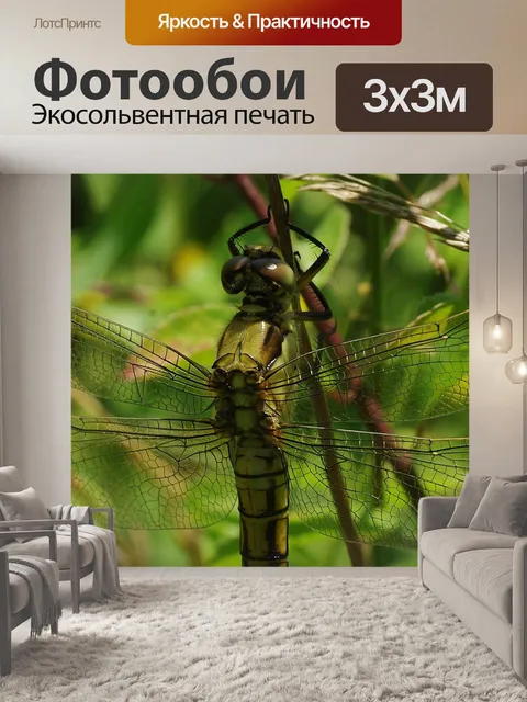 Фотообои Стрекоза