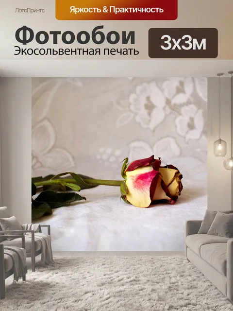 Фотообои Роза
