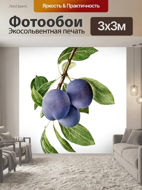 Фотообои Винтажные фруктовые иллюстрации