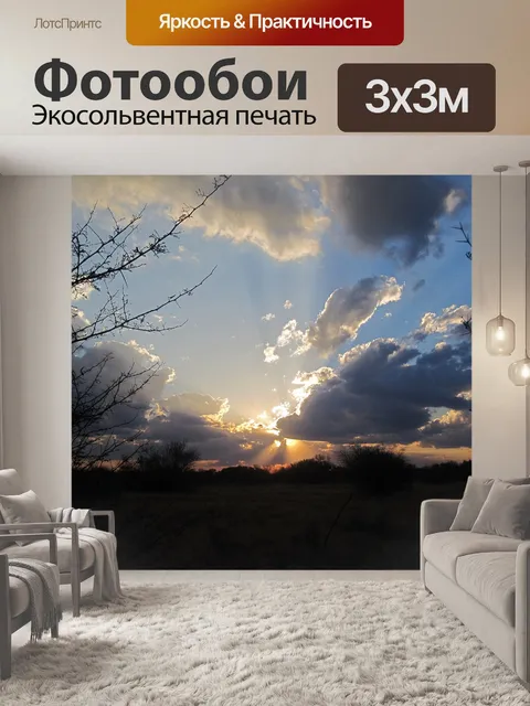 Фотообои дикая природа закат