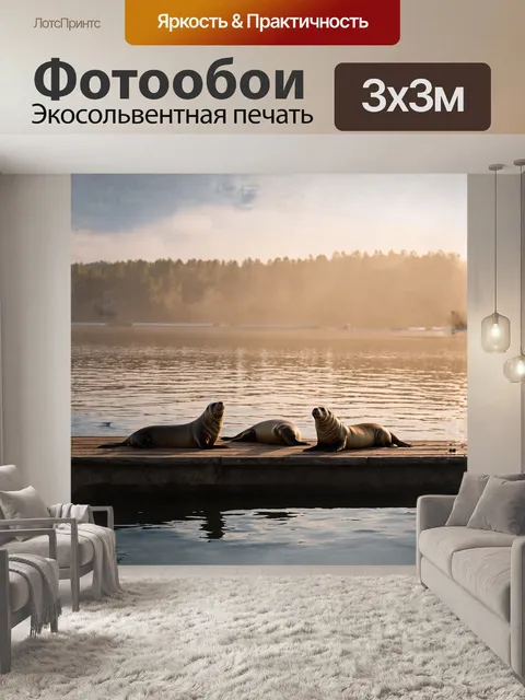 Фотообои меланхолично настроенный порт с тюленями, удобно перебравшимися на старый деревянный пирс