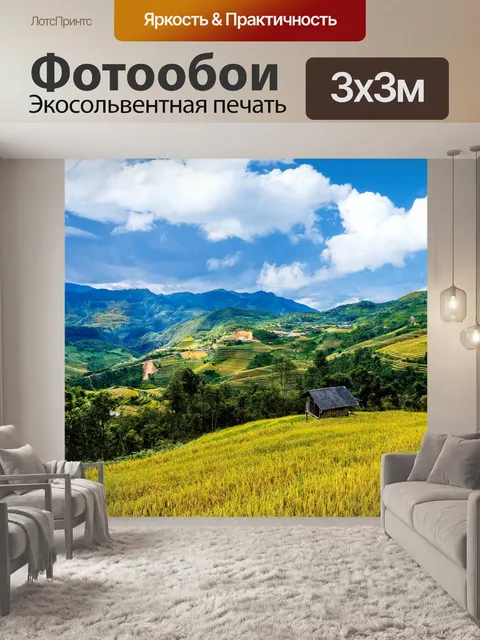 Фотообои Рисовые поля