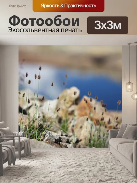 Фотообои Трава