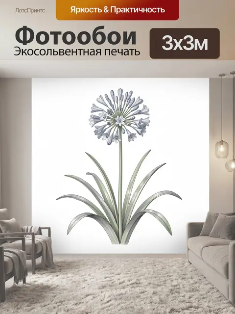 Фотообои Синяя агавоподобная лилия