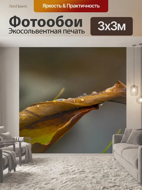 Фотообои Капли дождя