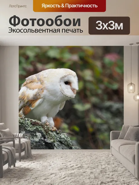 Фотообои Птица