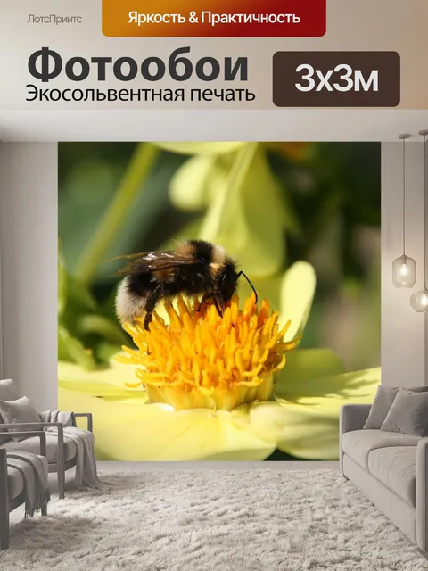 Фотообои Шмель