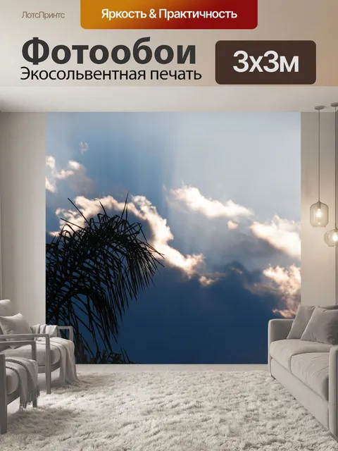 Фотообои силуэт пальмовой ветви в небе