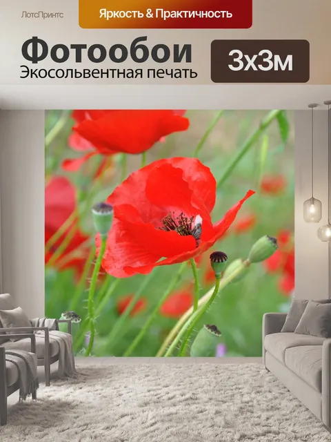 Фотообои Маковое поле