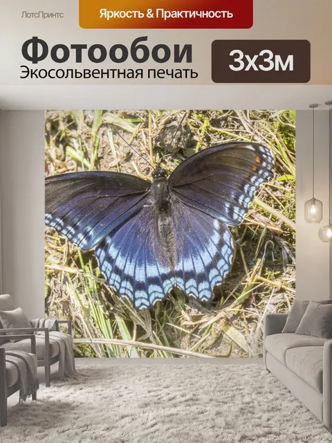 Фотообои Красный Пятнистый Фиолетовый