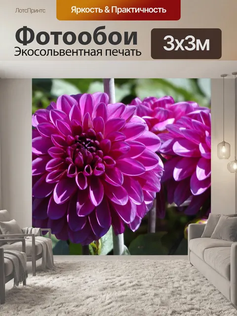 Фотообои Фиолетовый Цветы