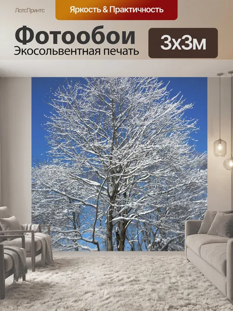 Фотообои Снег