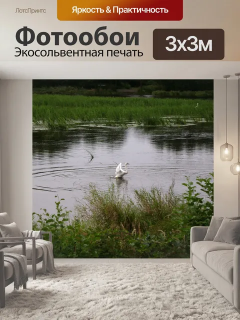 Фотообои Лебедь