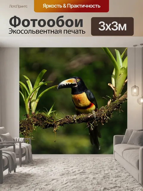 Фотообои Коллард арасери