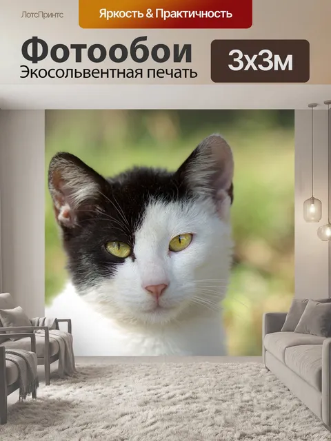 Фотообои Кошка
