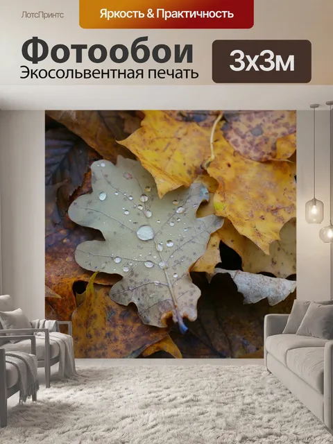 Фотообои Лист