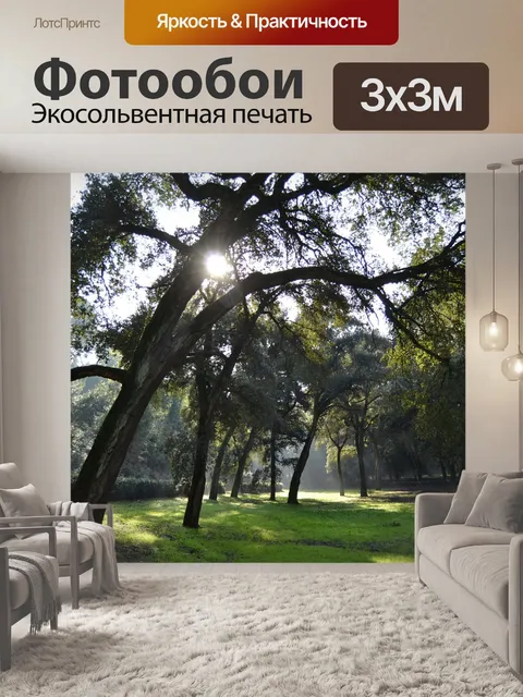 Фотообои Лес