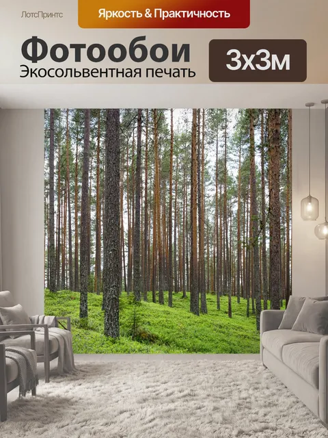 Фотообои Лес