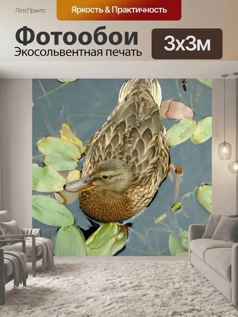 Фотообои Дикие утки