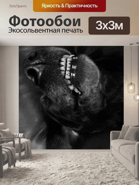 Фотообои Собака