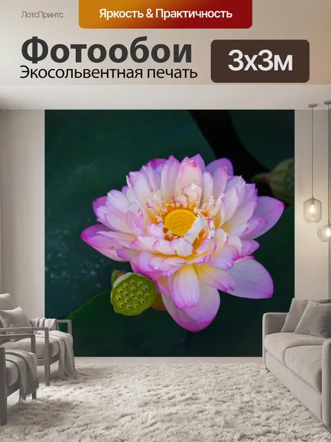Фотообои Золотой лотос розовый границы