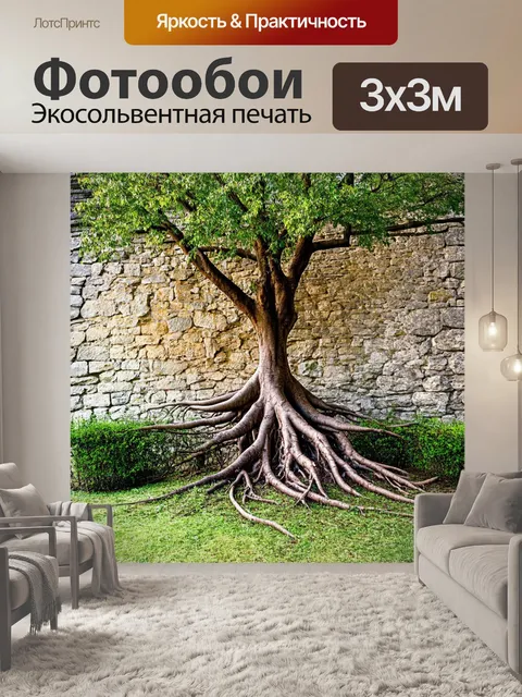 Фотообои дерево с необычными развитыми корнями на фоне старинной каменной стены
