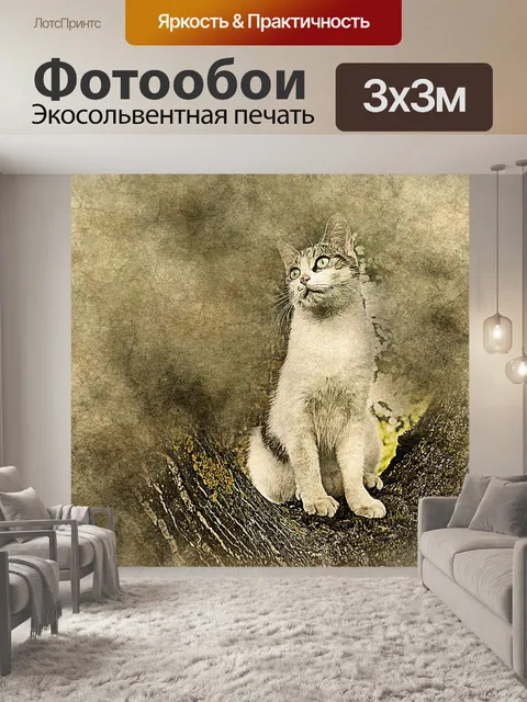 Фотообои Кошка
