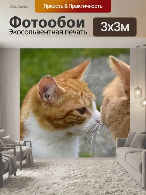 Фотообои Кошка
