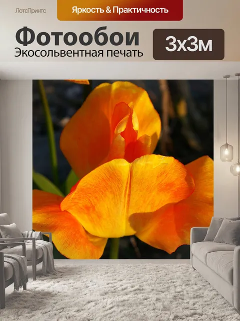 Фотообои Тюльпаны