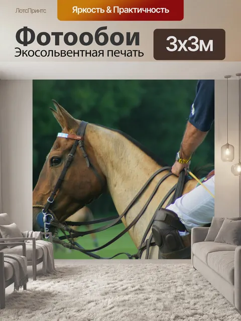 Фотообои Лошадь