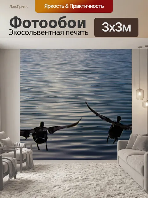 Фотообои Утки
