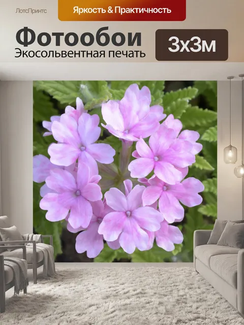 Фотообои Розовые цветы