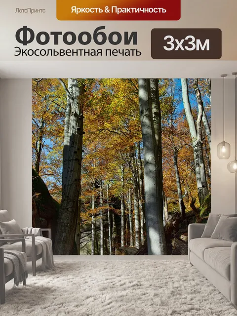 Фотообои Осень
