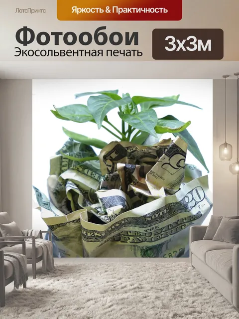 Фотообои Деньги
