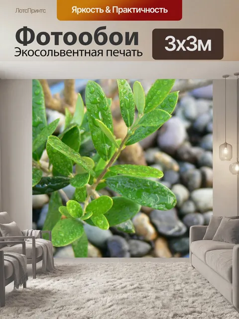 Фотообои Листья