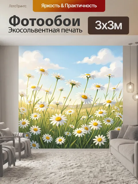 Фотообои Ромашковое поле под небом
