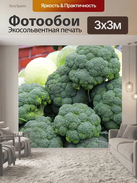 Фотообои Брокколи