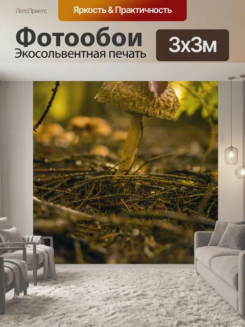 Фотообои Маленькие грибы
