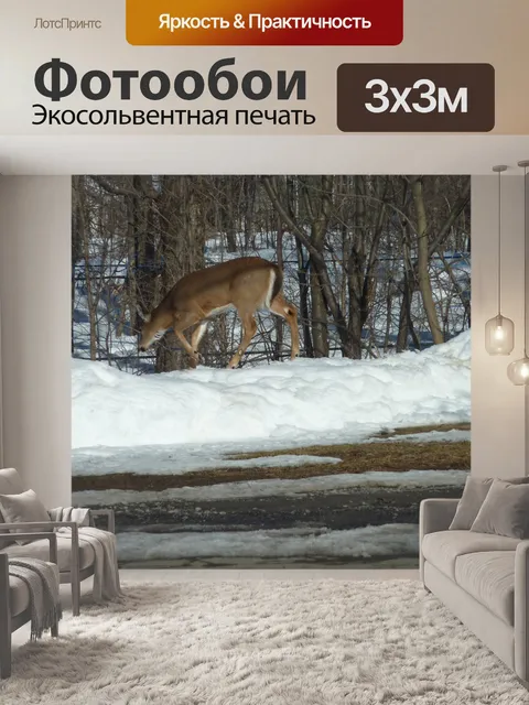Фотообои Олени, пересекающих дорогу