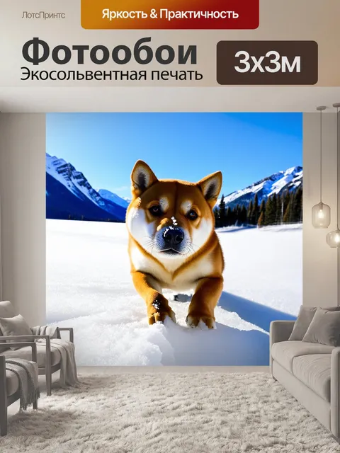 Фотообои сиба ину, исследующий проплешины смартфонного снега в поисках пряток, его носик нежно касается льда