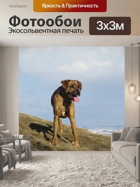 Фотообои Снег