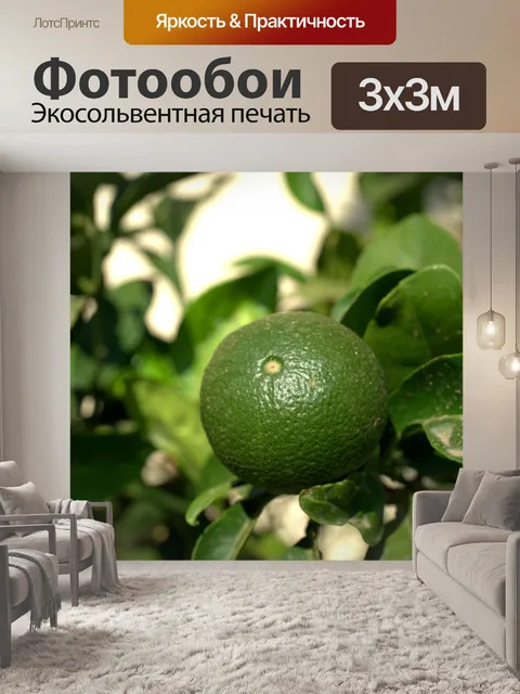 Фотообои Лимон