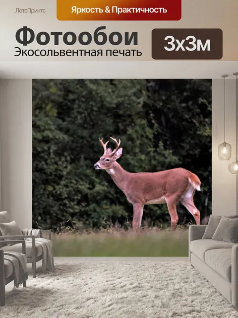 Фотообои Белый хвост Бак, пахнущий воздухом