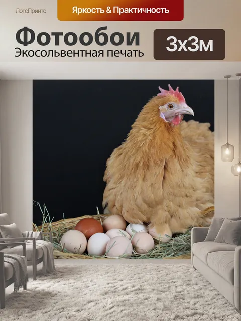 Фотообои Яйца