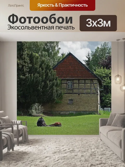 Фотообои Лошади