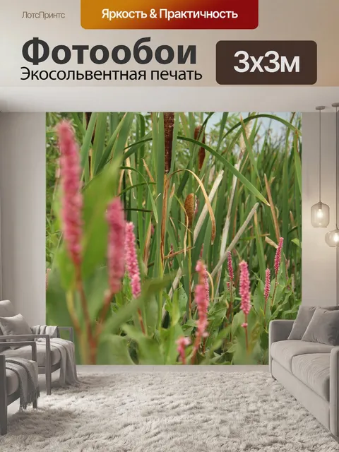 Фотообои Марш Фиолетовый Розовый цветок Cattails