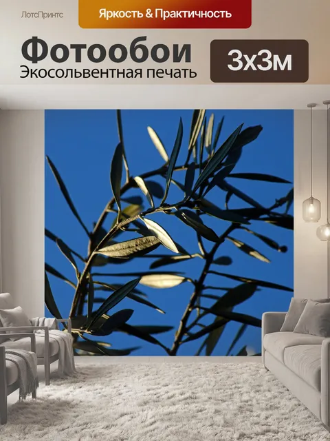 Фотообои солнечный свет на листьях оливкового дер