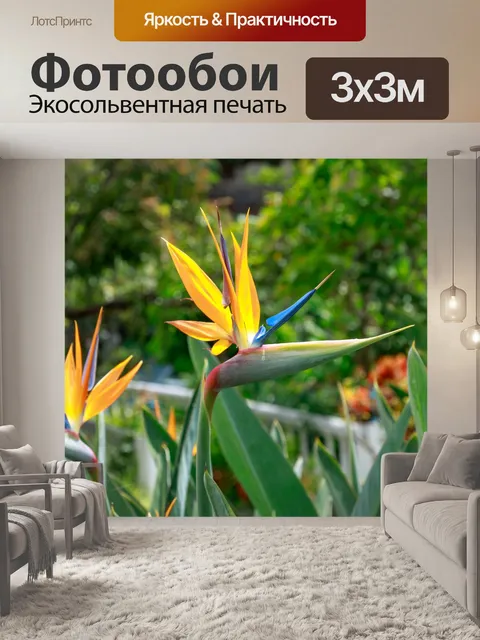 Фотообои Королевская Стрелиция